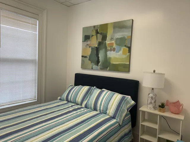 Gorgeous 1 bedroom-High ceilings with Lots of Natu