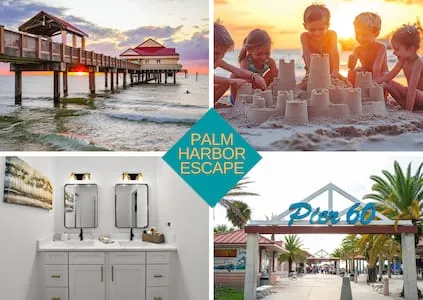 Palm Harbor Escape | Coffee Bar +9mns 2 Clearwater