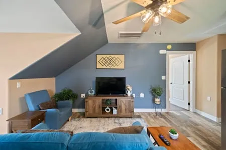Nice Apartment near Hobby Airport-Pet friendly